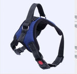 Adjustable Dog Harness