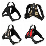 Adjustable Dog Harness