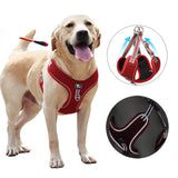 Large Breathable Dog Harness