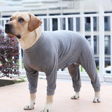 Dog Onesie